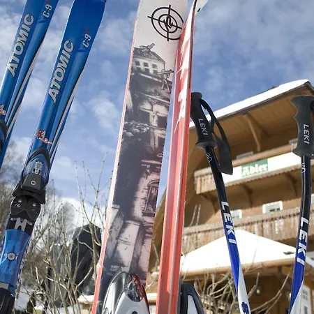 Adler Baerental Feldberg (Baden-Wurttemberg)